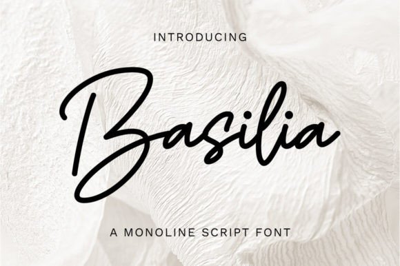 Basilia: Elevate Your Brand with Timeless Typography