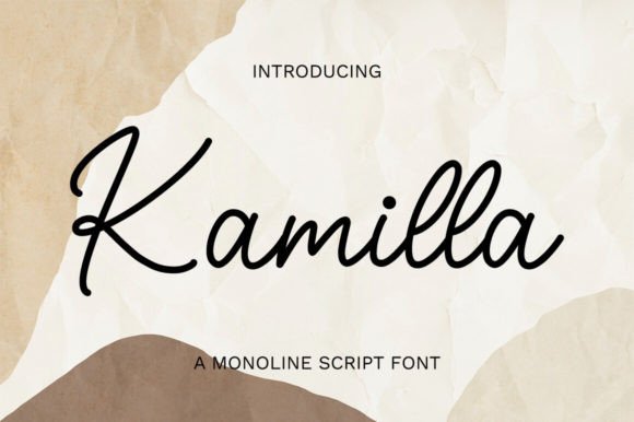 Exploring the Timeless Charm of the Kamila Font