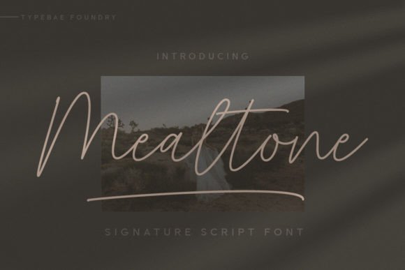 Mealtone: A Signature Font for Authentic Branding