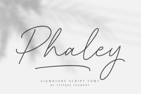 Phaley: The Handwritten Script Font for Elegant Design
