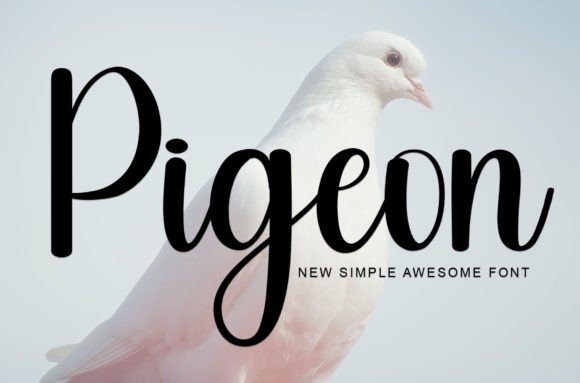 Pigeon: A Handwritten Font for Contemporary Design